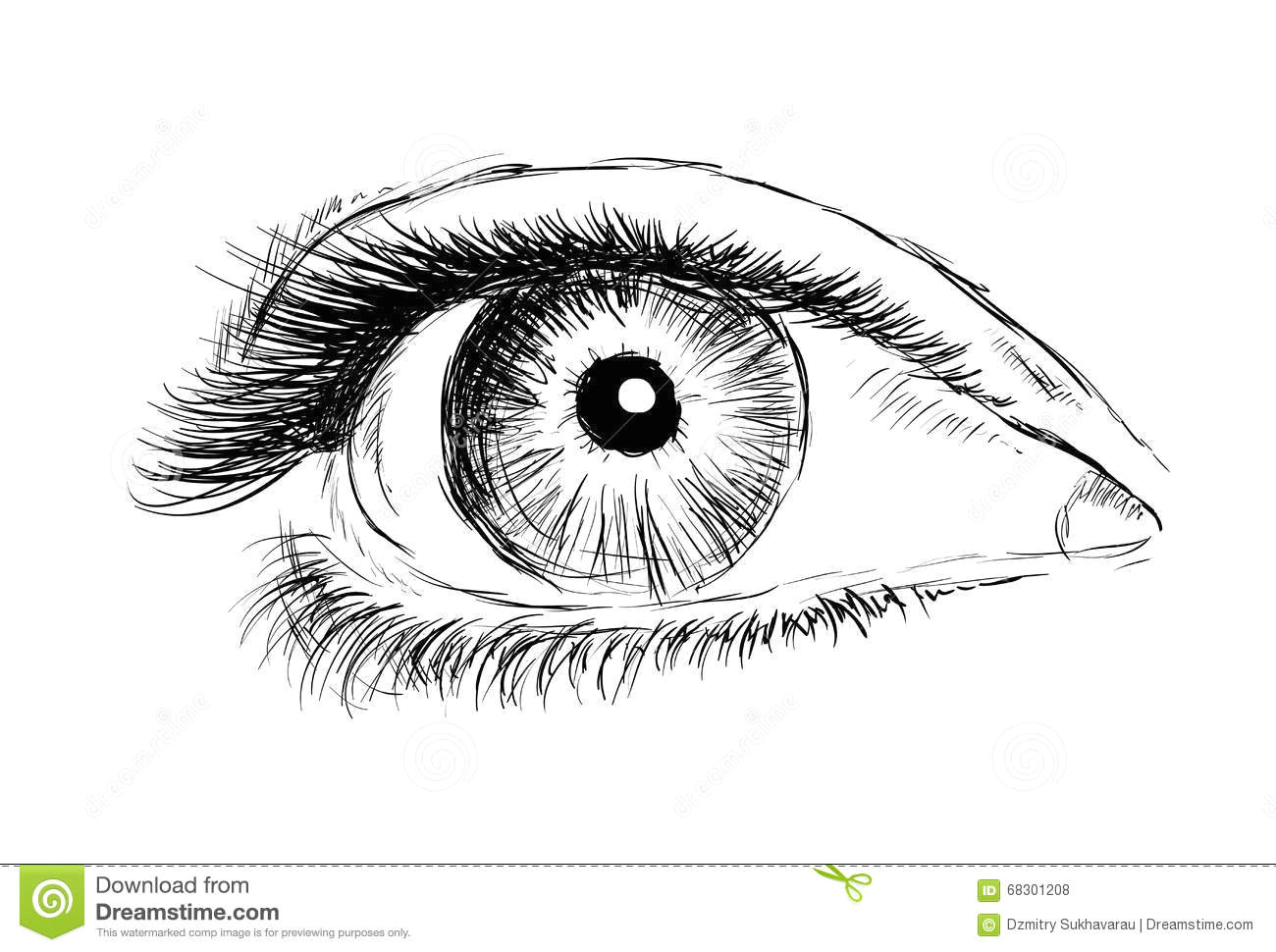Drawings Of Eyes On Hands Hand Drawing Eye On A White Background Stock Illustration