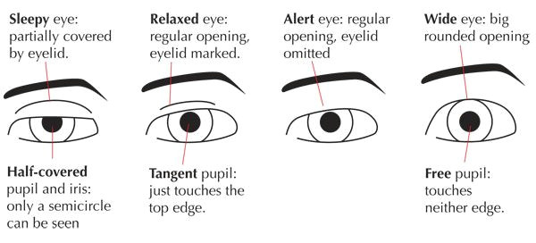 Drawings Of Eyes with Expression Human Anatomy Fundamentals Mastering Facial Expressions Tuts
