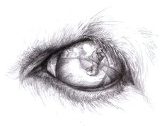 Drawings Of Eyes with Reflections 121 Best Reflections Images Eyes Reflection Draw Eyes