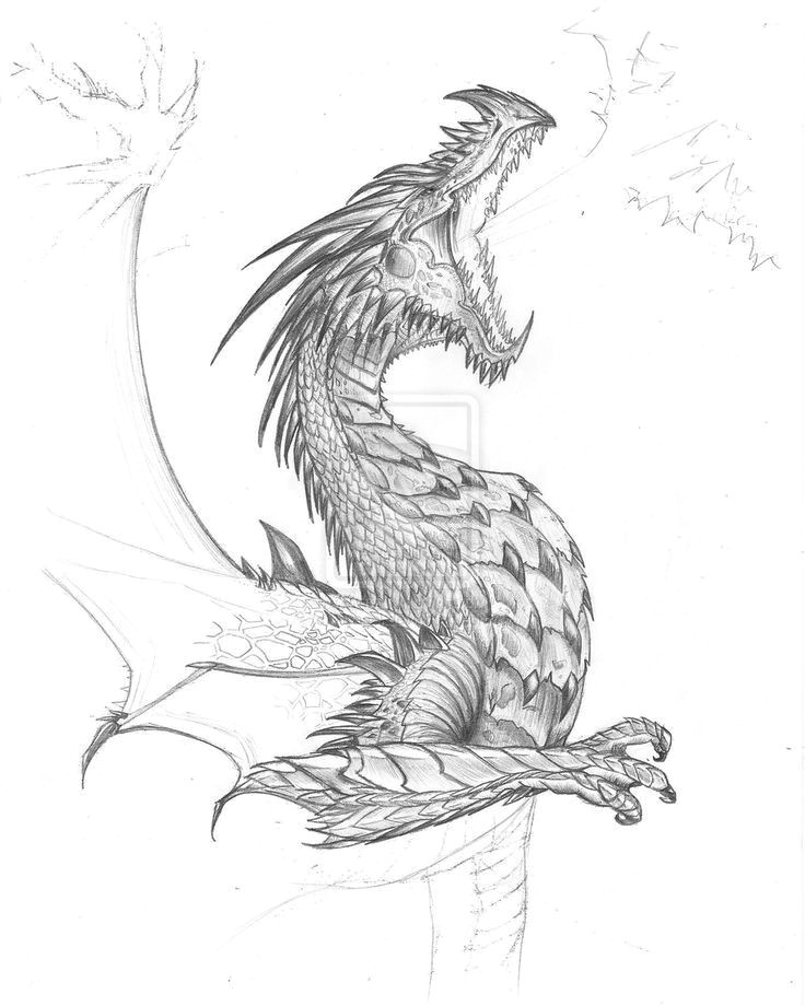 Drawings Of Fantasy Dragons Pin by Tambre Kay On Expression Dragon Dragon Sketch Realistic