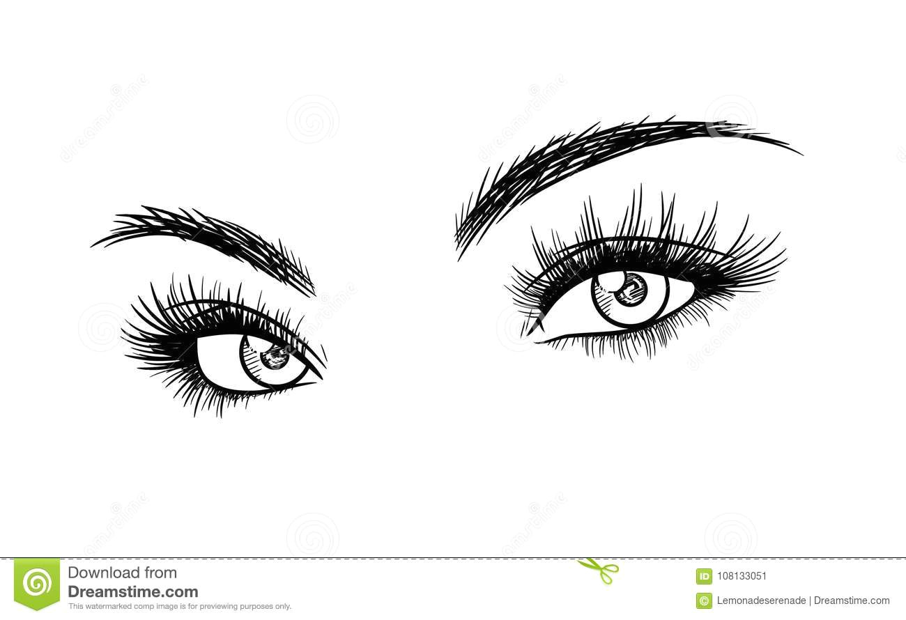 Drawings Of Female Eyes Beautiful Woman Eyes with Eyelash Extensions Sketch Stock Vector
