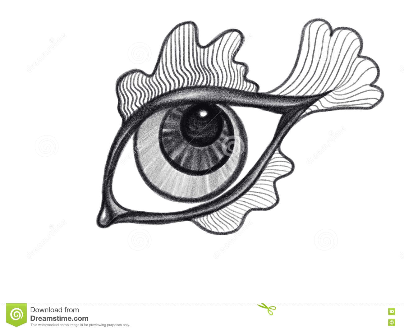 Drawings Of Fish Eyes isolated Black and White Eye as A Fish Drawn by Pencil Stock