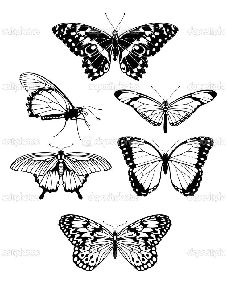 Drawings Of Flower and butterfly 101 Ideas for Drawings Of Flowers and butterflies