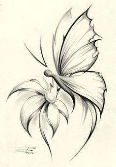 Drawings Of Flower and butterfly butterfly Pencil Drawing if It Were A Dragonfly It Would Be Perfect