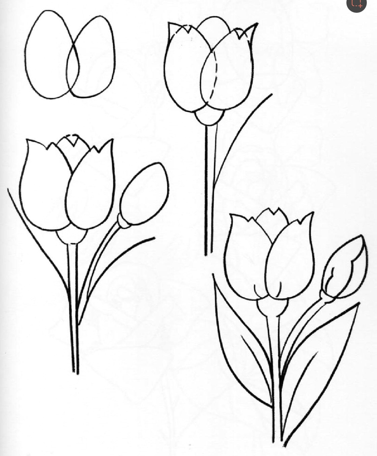 Drawings Of Flower Buds Pin by Jill Smith On Sketch for Watercolour Pinterest Doodles
