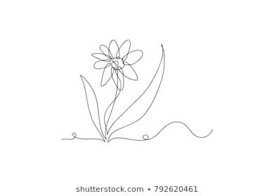 Drawings Of Flower Fields Flower Line Drawing Images Stock Photos Vectors Shutterstock
