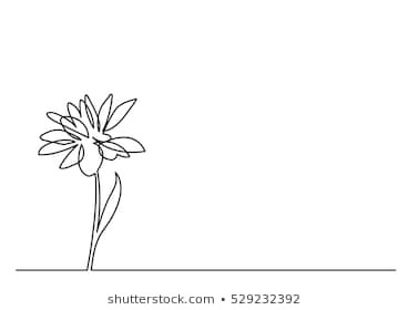 Drawings Of Flower Fields Flower Line Drawing Images Stock Photos Vectors Shutterstock