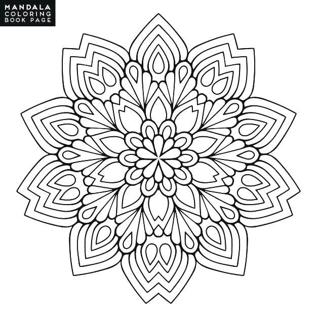 Drawings Of Flower Patterns top 25 Step by Step Drawing Flower Farm Steroid