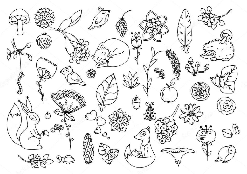 Drawings Of Flowers and Animals Vector Illustration E Set the forest Animals and Flowers Doodle