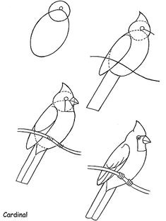 Drawings Of Flowers and Birds Easy 306 Best Drawing Birds Images Pencil Drawings Bird Drawings