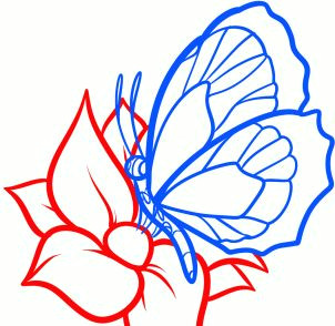 Drawings Of Flowers and butterflies Step by Step How to Draw A butterfly On A Flower butterfly and Flower Step 6