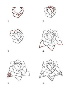 Drawings Of Flowers and Hearts Step by Step 419 Best How to Draw Flowers Images In 2019 Drawings Drawing