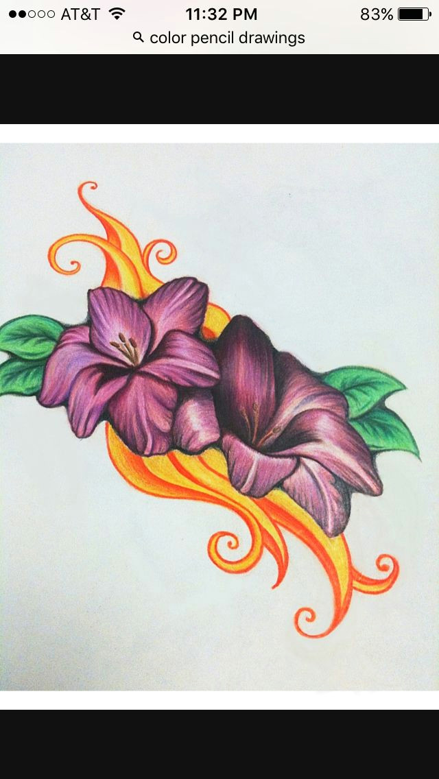 Drawings Of Flowers Coloured Color Pencil Drawings Pencil Drawings Drawings Colored Pencils