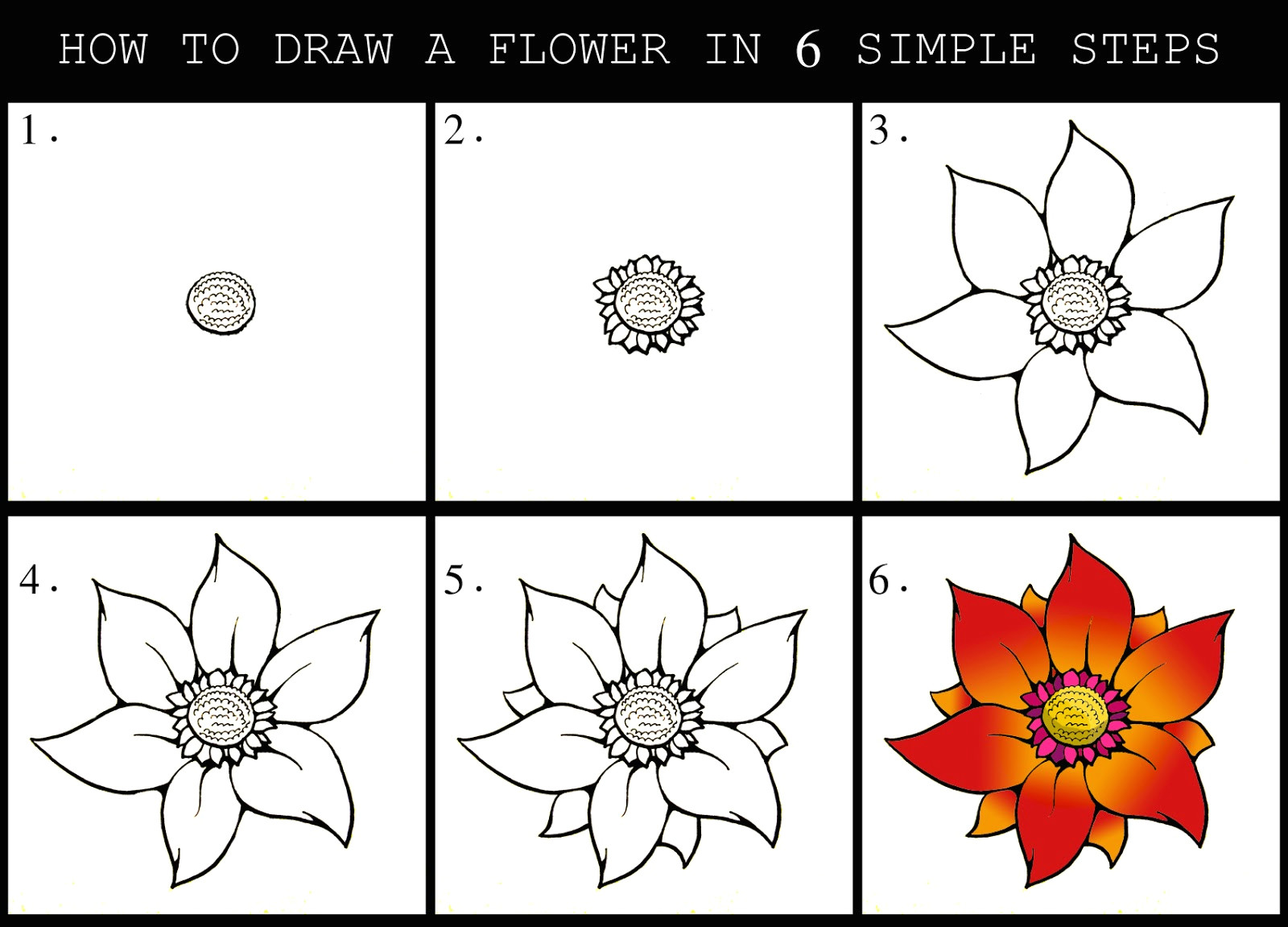Drawings Of Flowers Easy Step by Step How to Draw A Flower Dr Odd