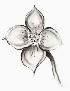 Drawings Of Flowers for Beginners 61 Best Art Pencil Drawings Of Flowers Images Pencil Drawings
