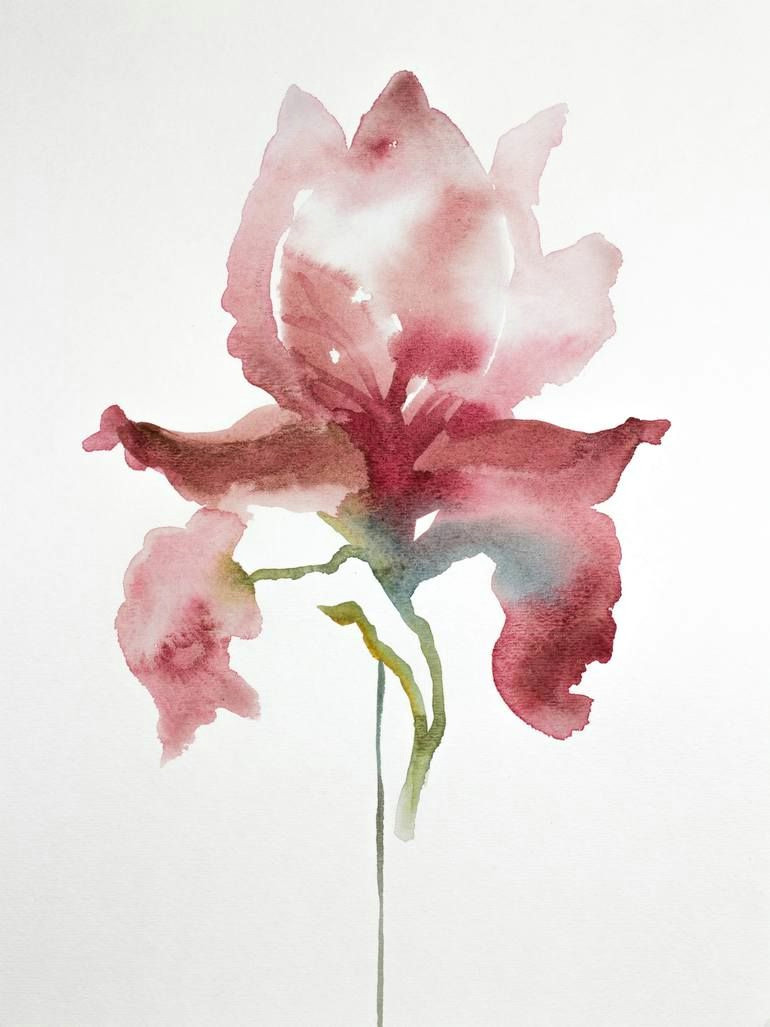 Drawings Of Flowers for Sale Buy Iris No 15 A Watercolor Painting On Paper by Elizabeth Becker
