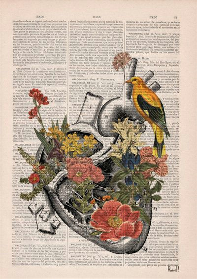 Drawings Of Flowers for Sale Cyber Monday Sale Flowery Heart with Bird Anatomy Print by Prrint