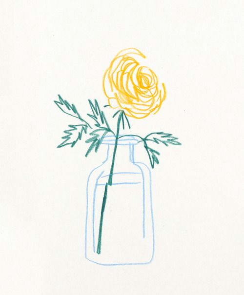 Drawings Of Flowers In A Jar Ljegers Little Guy From the Sketchbook In February Liana Jegers