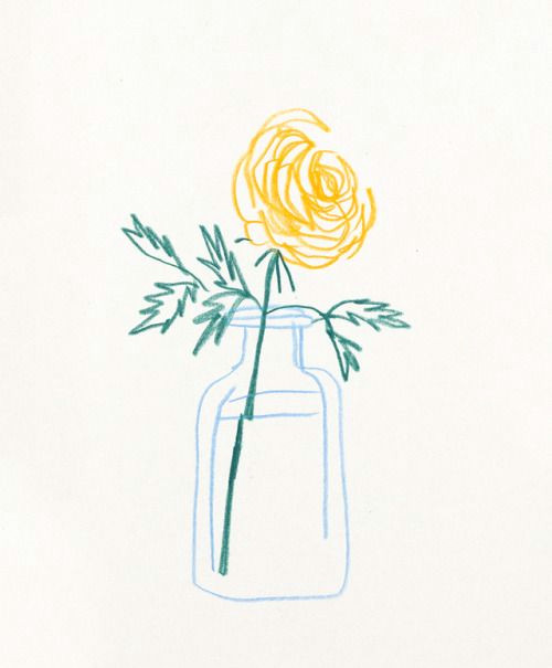 Drawings Of Flowers In A Jar Ljegers Little Guy From the Sketchbook In February Liana Jegers