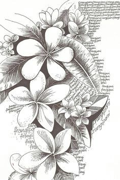 Drawings Of Flowers In Black and White 1412 Nejlepa A Ch Obrazka Z Nasta Nky Flower Drawings Drawings