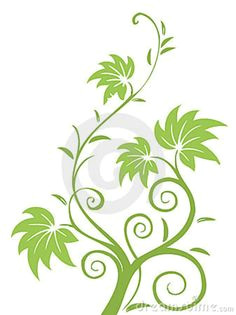 Drawings Of Flowers Leaves and Vines 72 Best Leaves and Vines Images Drawings Leaves Paint