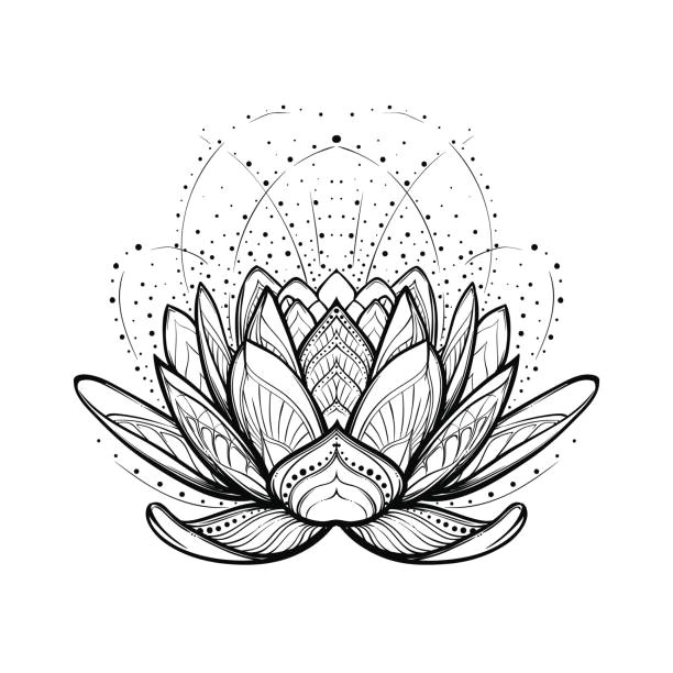 Drawings Of Flowers Lotus 9 Royalty Free Sacred Lotus Clip Art Vector Images Illustrations
