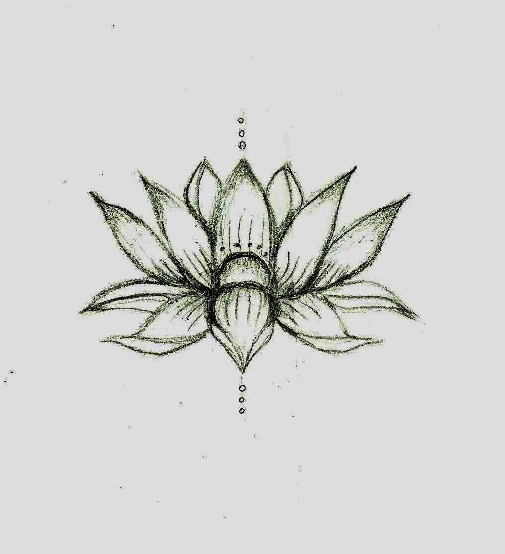 Drawings Of Flowers Lotus Love This Lotus Flower Sketcha Would Be A Cute Tat Actual Size