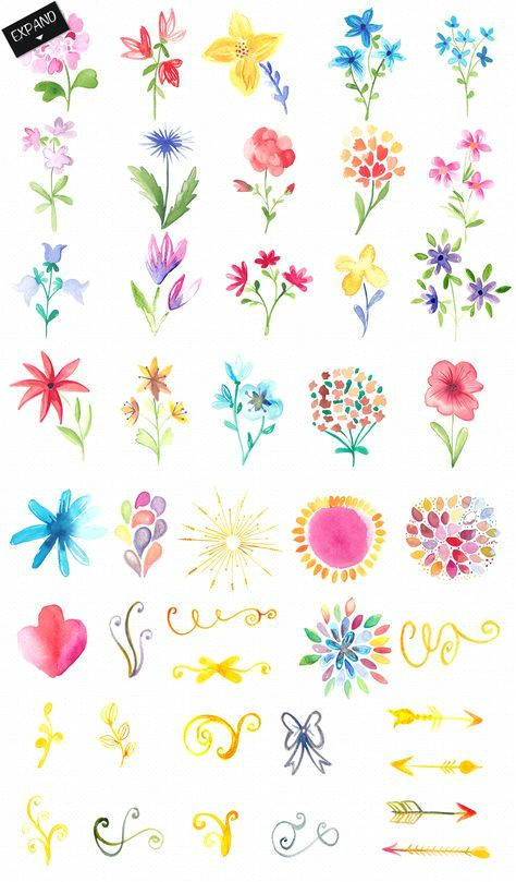 Drawings Of Flowers Market Watercolor Flowers and Decorations by Desenart On Creative Market