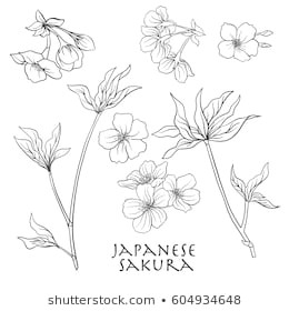 Drawings Of Flowers On Branches Flower Line Drawing Images Stock Photos Vectors Shutterstock