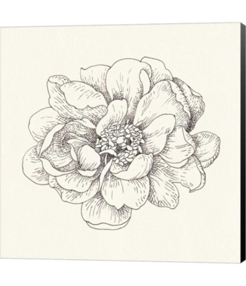 Drawings Of Flowers On Canvas Pen and Ink Florals Iv by Danhui Nai Canvas Art Multi In 2019