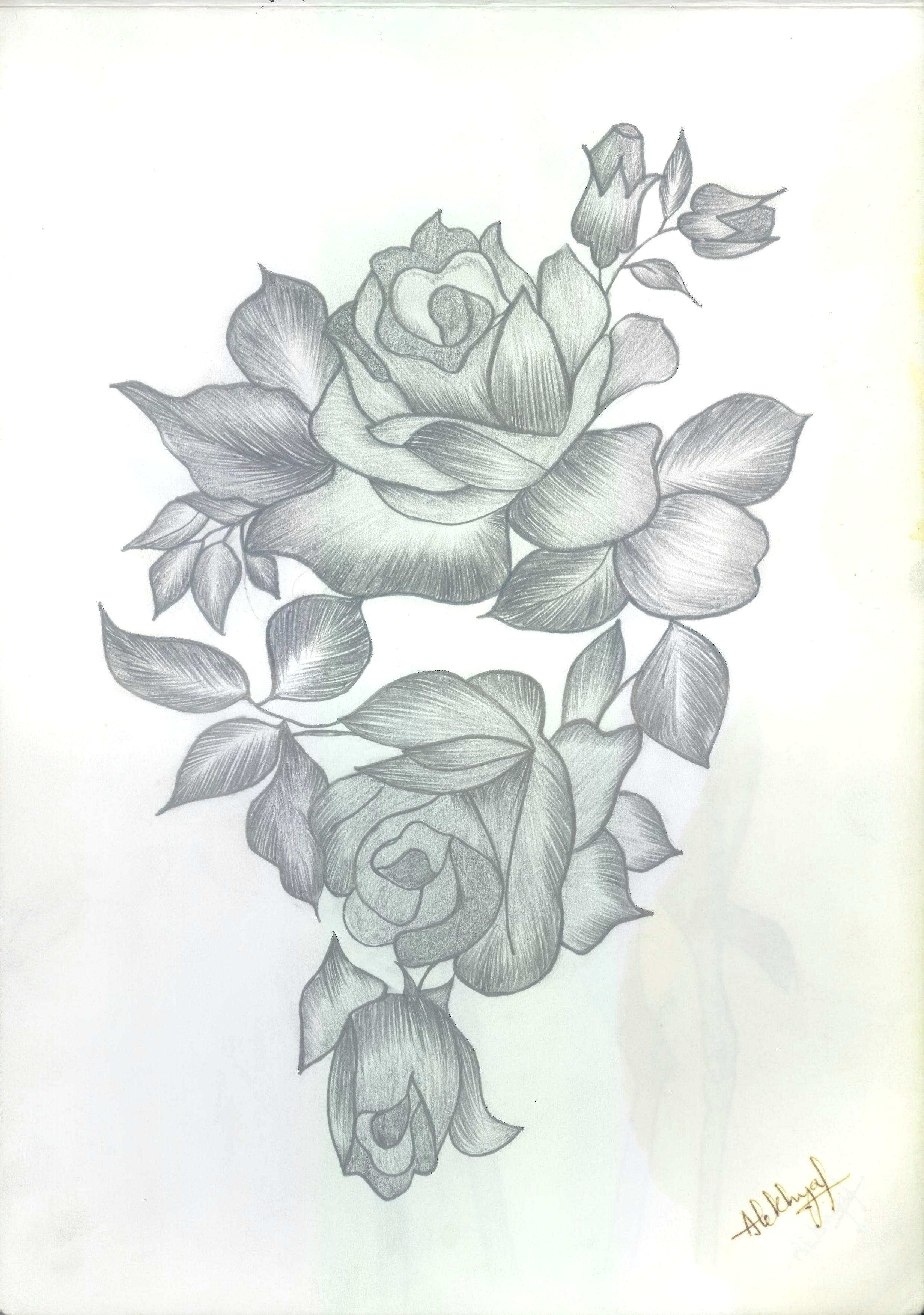 Drawings Of Flowers On Pinterest Bunch Of Roses Drawings Pinterest Tattoo