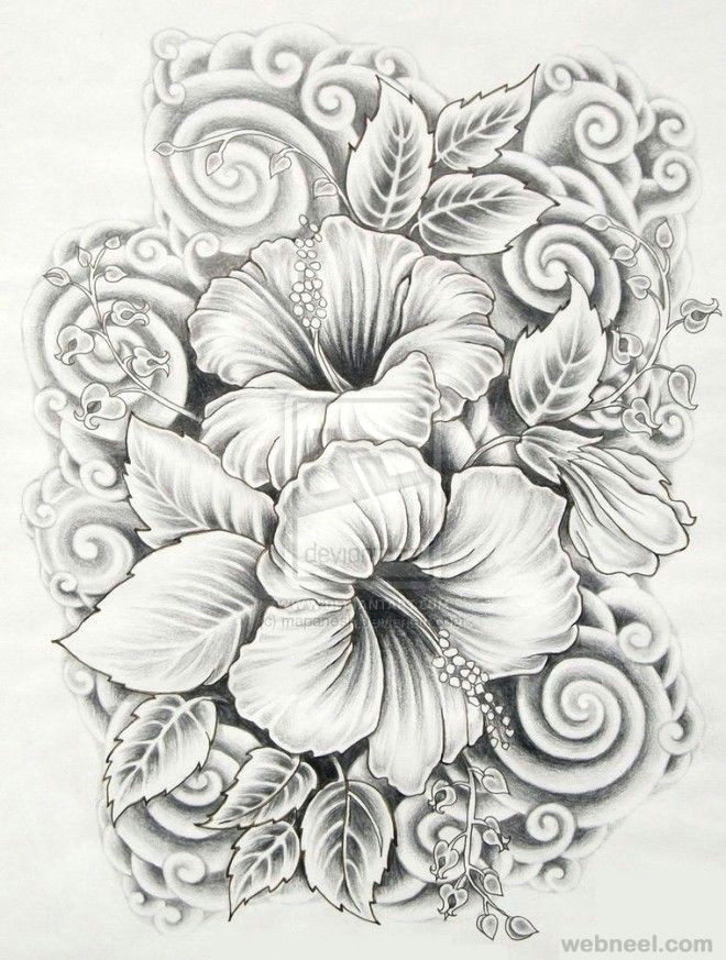 Drawings Of Flowers Realistic 45 Beautiful Flower Drawings and Realistic Color Pencil Drawings