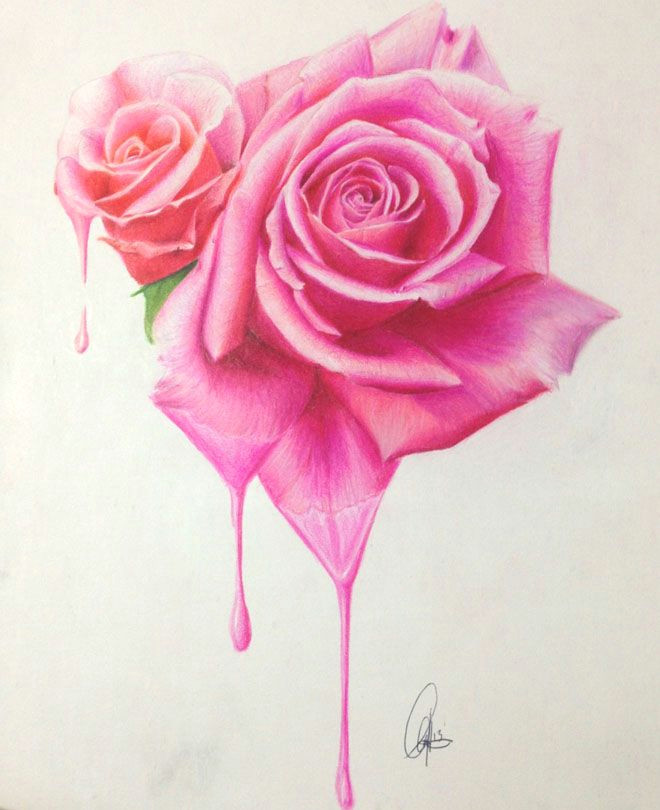 Drawings Of Flowers Realistic 45 Beautiful Flower Drawings and Realistic Color Pencil Drawings