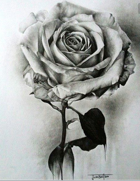 Drawings Of Flowers Realistic Flowers Flowers Drawings Pencil Drawings Realistic Pencil Drawings