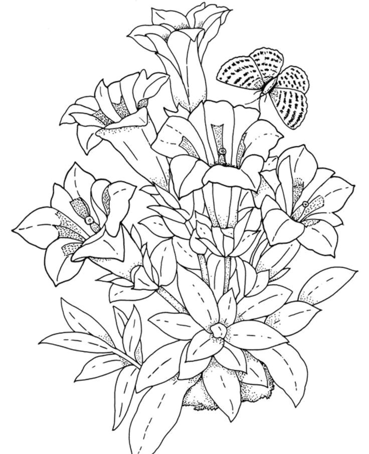 Drawings Of Flowers to Print Download and Print Realistic Flowers Coloring Pages for the top