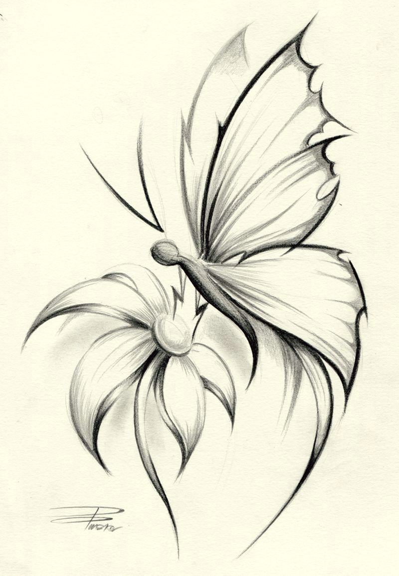 Drawings Of Flowers with butterflies butterfly Flower by Davepinsker On Deviantart Pictures In 2019