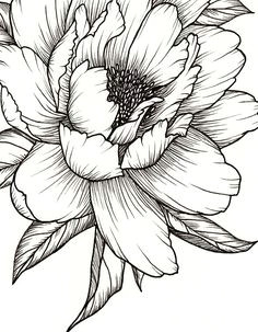 Drawings Of Flowers with Pen Flowers Print Products Pinterest Tattoos Flowers and Flower