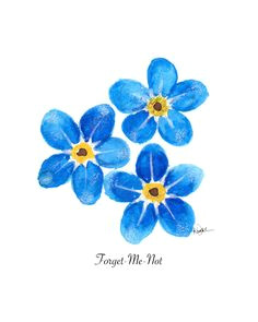 Drawings Of forget Me Not Flowers 46 Best Debisboard Images On Pinterest Drawings Flowers and