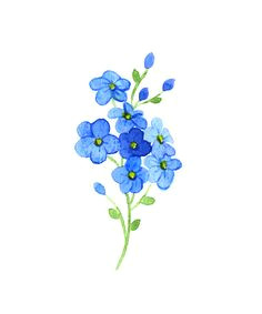 Drawings Of forget Me Not Flowers 78 Best forget Me Not Tattoo Images forget Me Not Tattoo Floral
