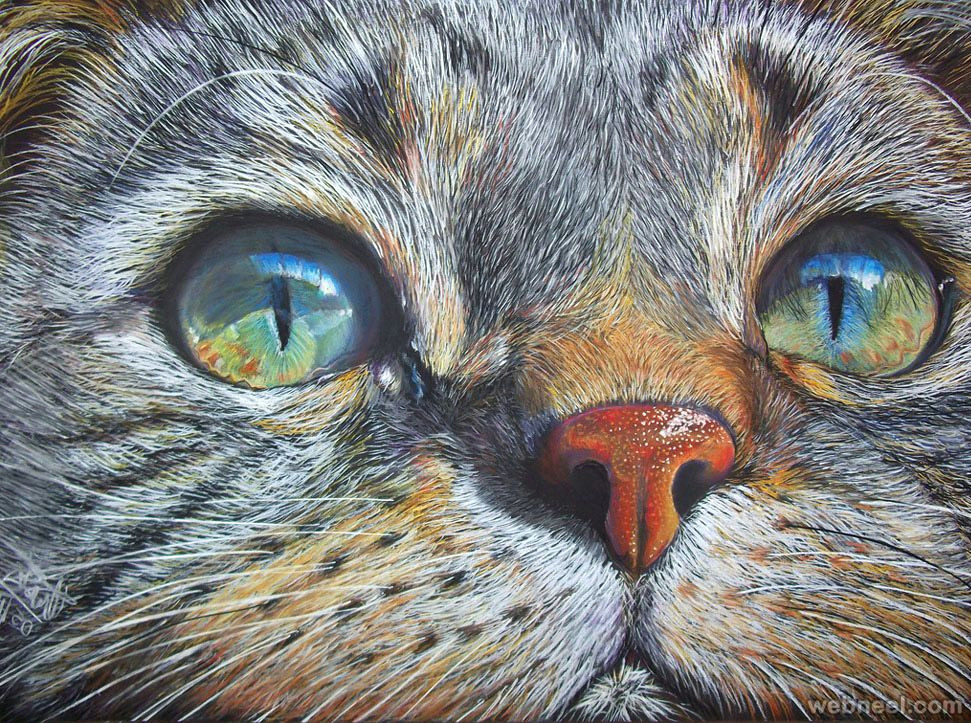 Drawings Of Galaxy Eyes Cat Color Pencil Drawing Colored Pencil Pencil Drawings