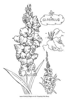 Drawings Of Gladiolus Flowers How to Draw A Gladiolus Step by Step 5 Tattoos Desenhos