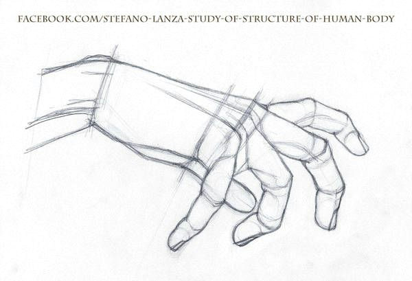 Drawings Of Handshakes Study by Stefanolanza 1 Drawings How to Draw Hands Hand