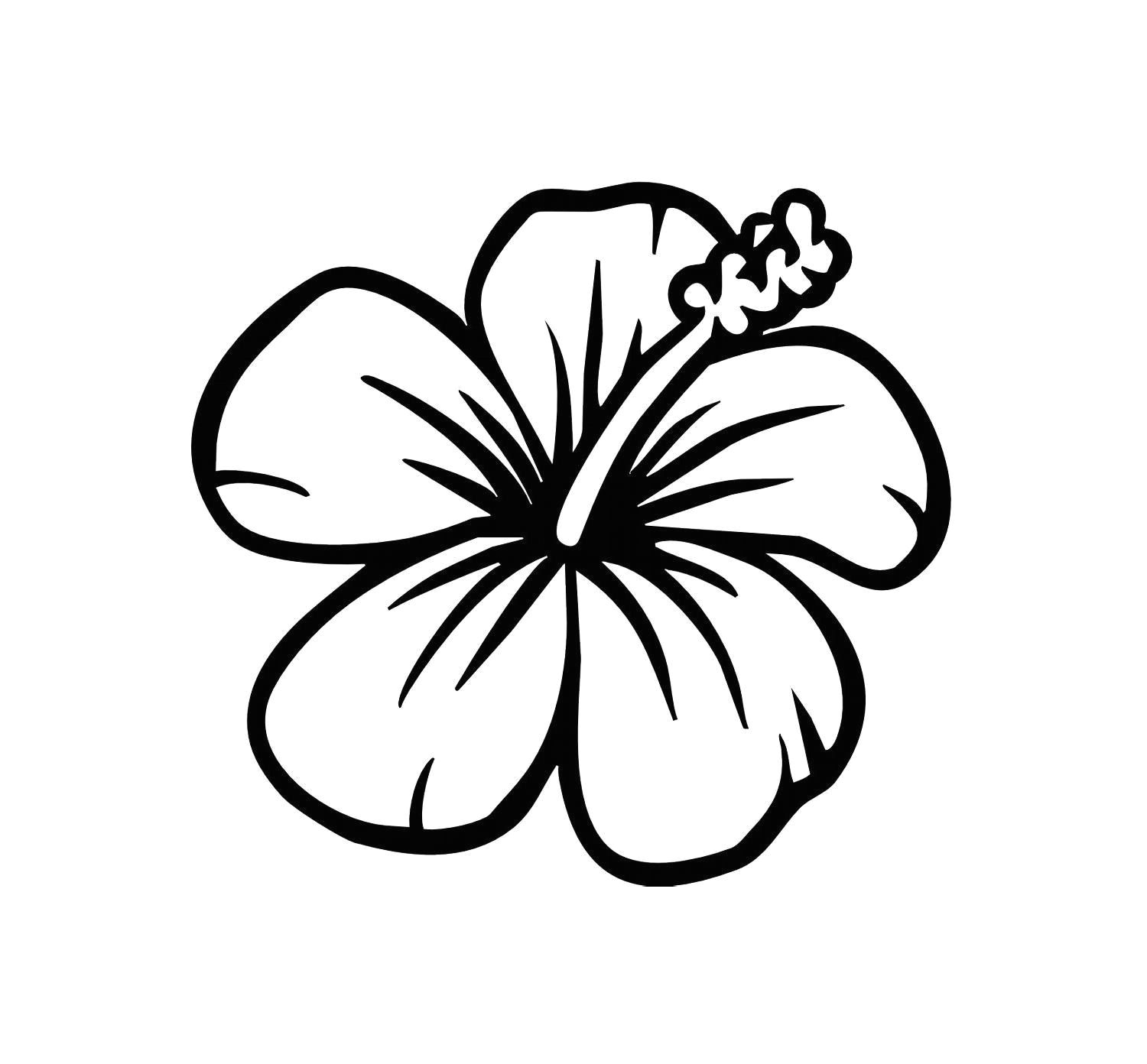 Drawings Of Hawaii Flowers Easy Leaf Outline Image Nextinvitation Templates Art Projects