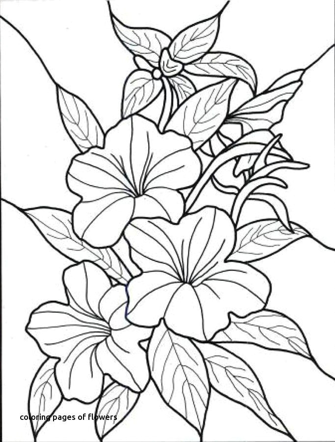 Drawings Of Hawaii Flowers Hawaii Coloring Pages Best Of Free Coloring Pages Kids Lovely Free