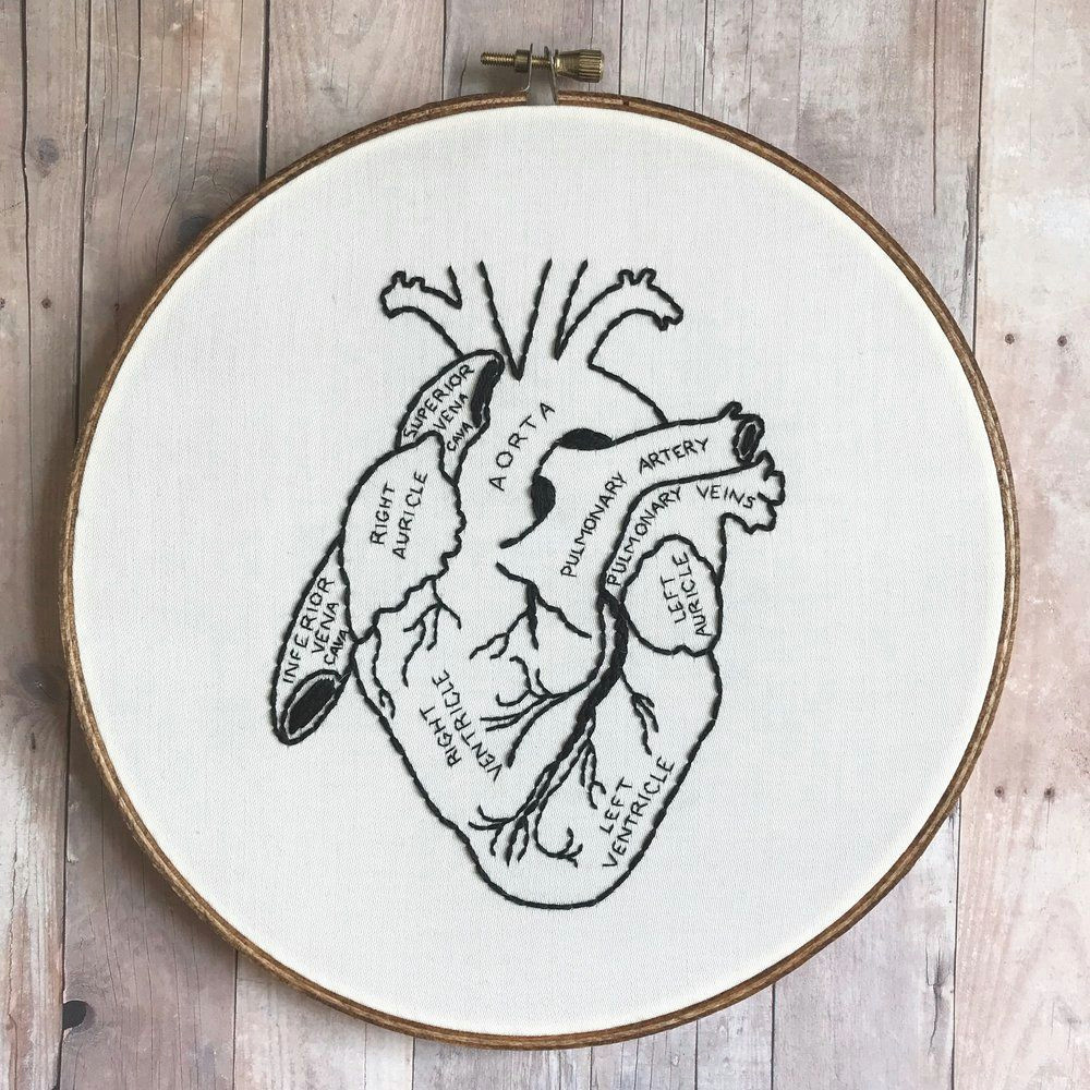Drawings Of Heart Hands Anatomical Heart Hand Embroidery Prints Posters Art Etc Hand