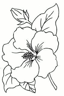Drawings Of Hibiscus Flower 248 Best Hibiscus Images Flower Designs Painting Flowers Pyrography
