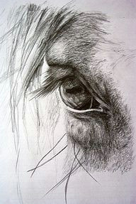 Drawings Of Horse Eyes Pin by Zuzia On Rysunki Konie Pinterest Horse Drawings Horse