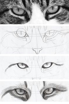 Drawings Of Human Eyes 14 Best Human Eye Drawing Images