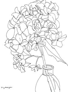 Drawings Of Hydrangea Flowers 81 Best Hydrangeas Images Hydrangeas Drying Hydrangeas Flower