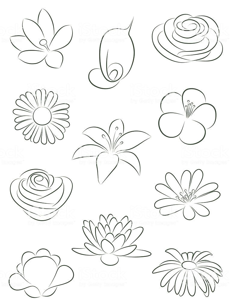 Drawings Of Indian Flowers Set Of Flowers Vector Illustration India Home Pinterest Arte